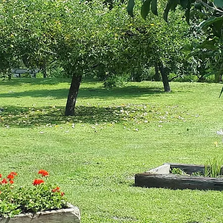 Konukevi Csoka Pápa